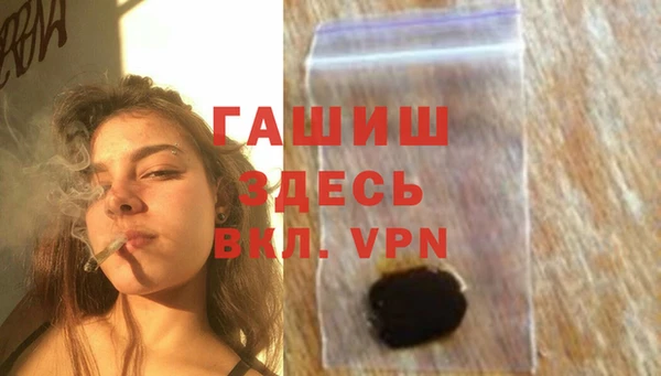 гидра Алексеевка