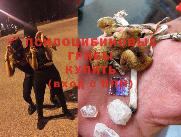 гидра Алексеевка