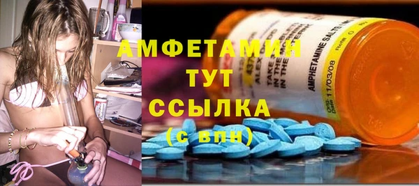 гидра Алексеевка